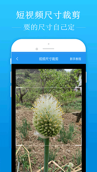 出色老婆的标准：
