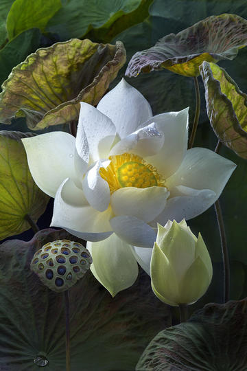 李宇春宁波